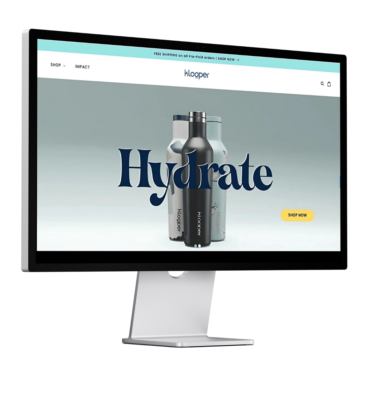 ecommerce development