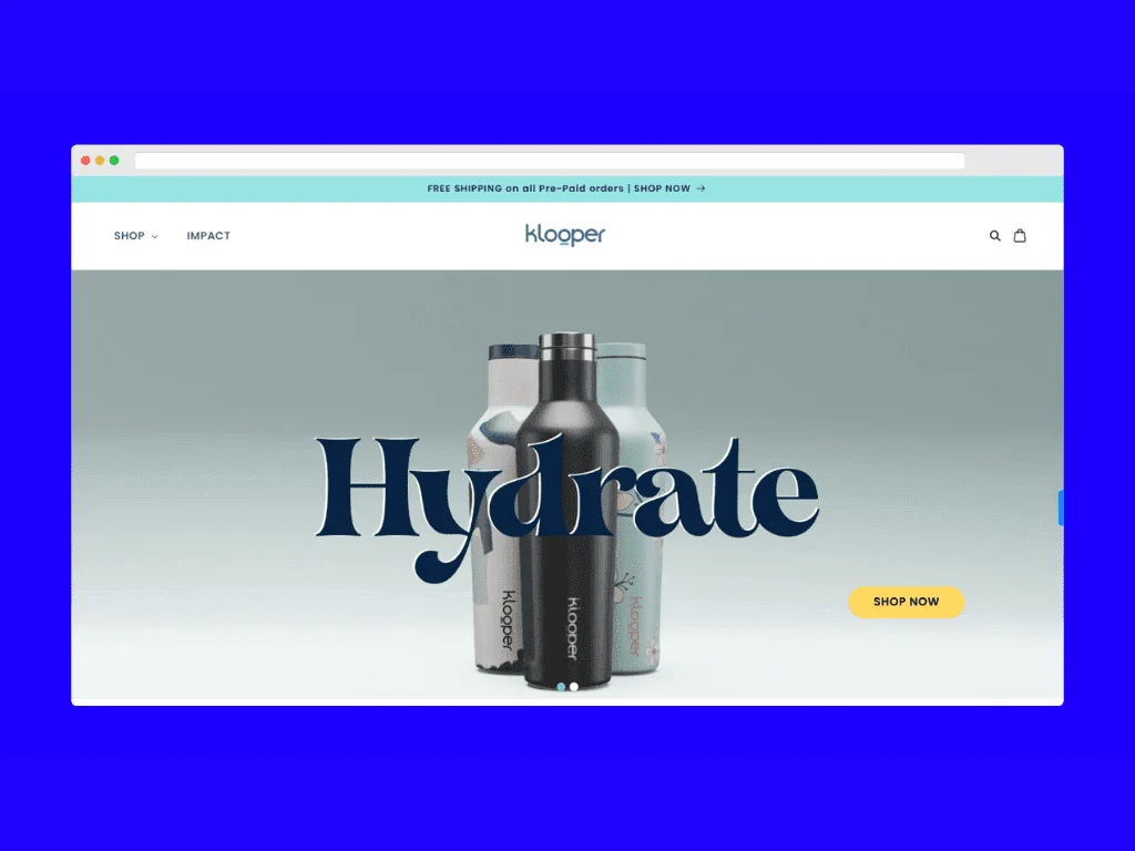 Shopify Development Case Study