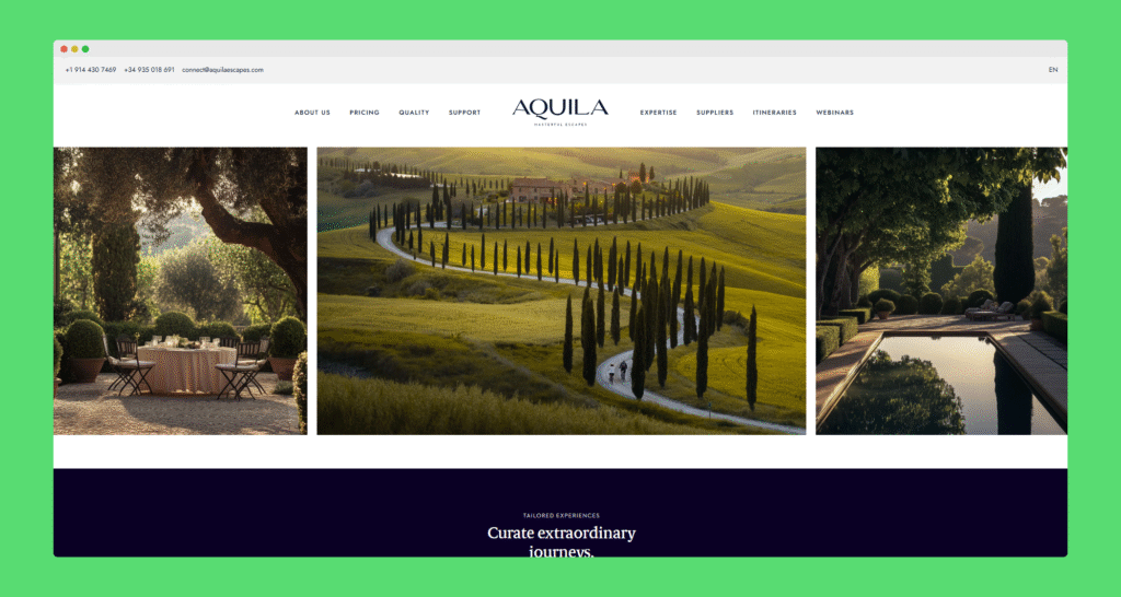 Ecommerce website developed by Codefreex