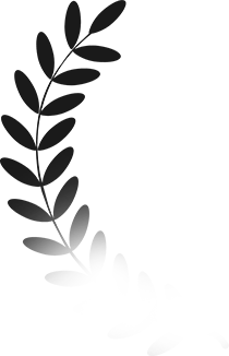 faqs1-illus-1.webp