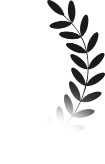 faqs1-illus-2.webp